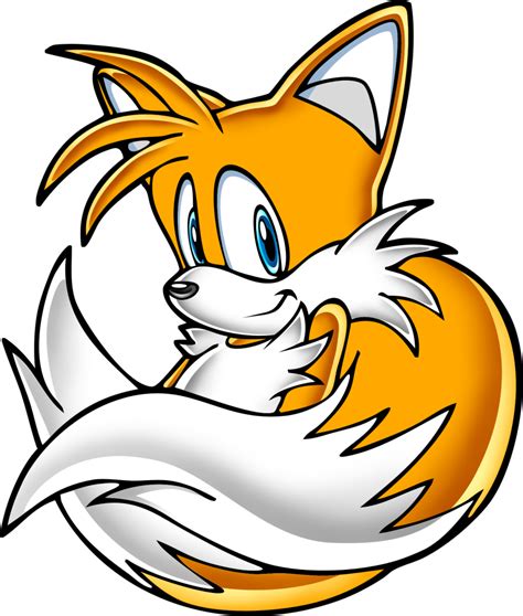 Image Tailspng Wiki Sonic The Hedgehog Fandom Powered By Wikia
