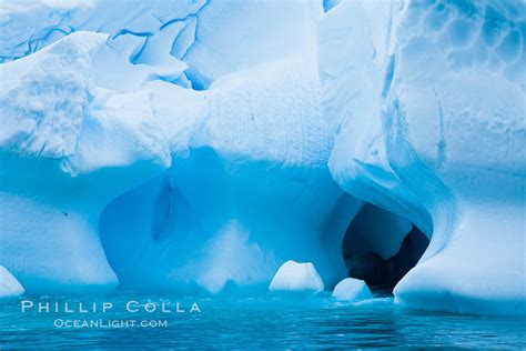 Cierva Cove Antarctica Natural History Photography Blog