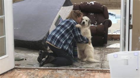 Owner Reunites With Dog After Tornado Destroys Home Youtube