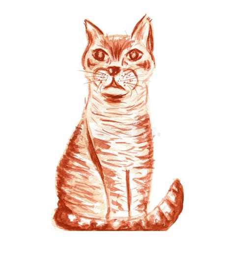 Ginger Cat Watercolour Stock Illustrations 57 Ginger Cat Watercolour