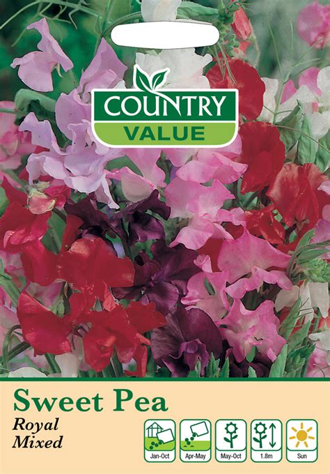 Sweet Pea Seeds Royal Mixed By Country Value Uk