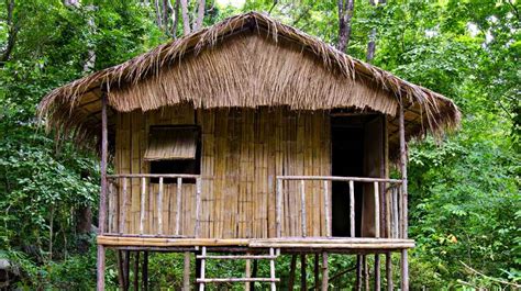 Bamboo House How To Build A Bamboo House In The Wild