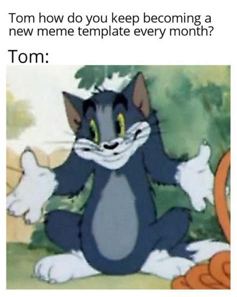 Funny Tom And Jerry Memes To Keep You Laughing Fandomspot Images My Xxx Hot Girl
