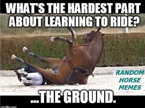 No Doubt About It Lol Funny Horse Memes Horse Riding Quotes Funny