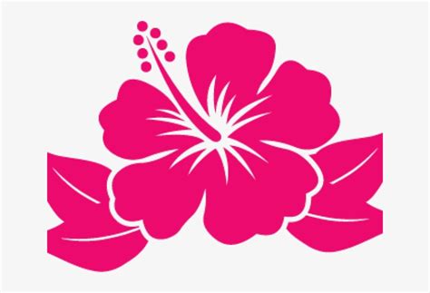 Cartoon Hibiscus Flower Png Best Flower Wallpaper
