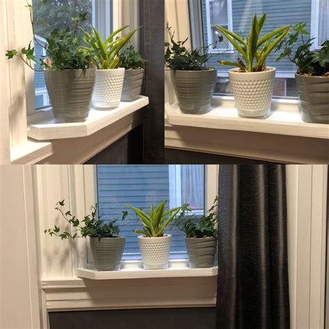 Flower Pot Windowsill Flower Pots Window Sill Plants Window Sill