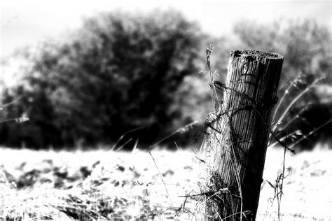 Fence Post 2 In My Back Pocket Photography