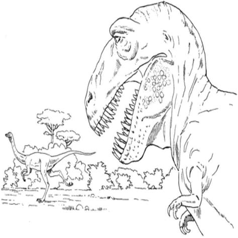 Harmonieux Coloriage Tyrannosaure Rex Images Idee De Coloriage The Best Porn Website