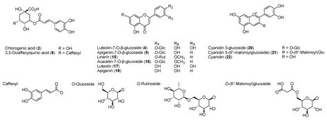 Molecules Free Full Text Phytochemical Composition And Antioxidant