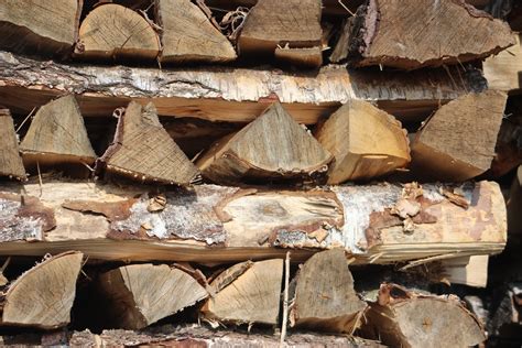 Free Images Tree Rock Wood Firewood Lumber Material Storage