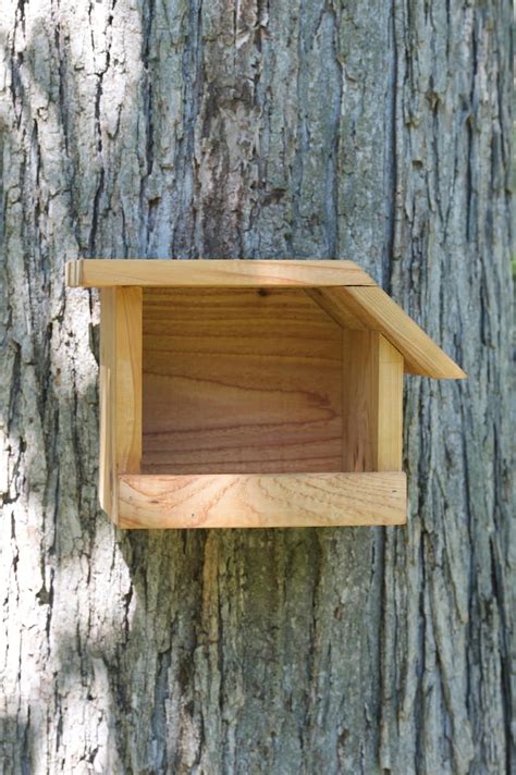 American Robin Cedar Bird House Etsy