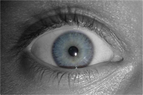 Blue Eye Foto And Bild Fotos Von Teilen Des Gesichts Körperdetails