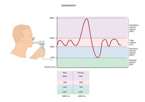 Na Czym Polega Spirometria
