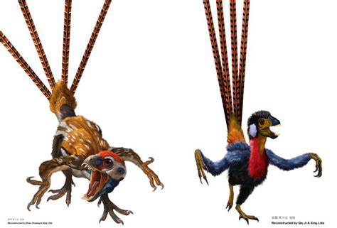 Fancy Feathers Predated Flight In Dinosaur Bird Hybrid Prehistoric