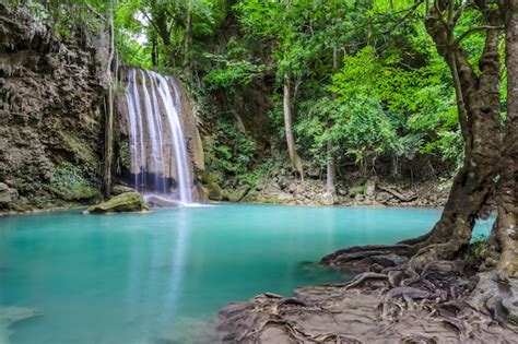Premium Photo Beautiful Deep Forest Waterfall