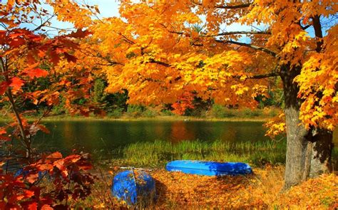 1230x768 Lake Boat Trees Fall Grass Yellow Red Leaves Nature Forest