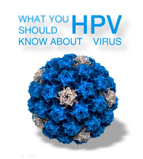 Human Papilloma Virus Hpv