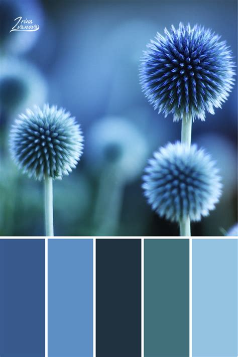 Color Palette Combinations Design Color Palette