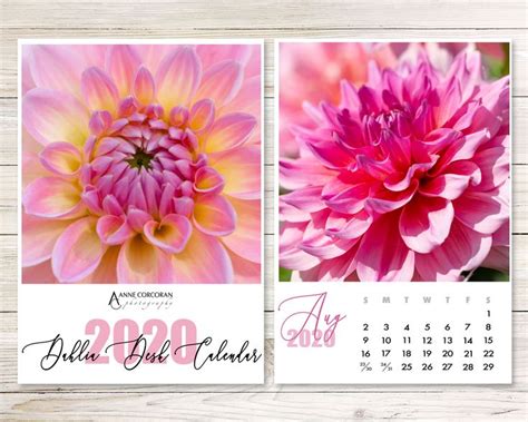 Printable 2023 Dahlia Desk Calendar 5x7 Dahlia Calendar Etsy