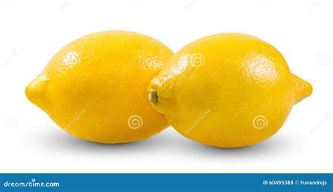 Fresh Yellow Two Lime Lemons Rich Witch Vitamin C Isolated On White
