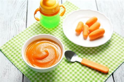 papinhas para bebês de 7 meses 6 receitas deliciosas tua saúde