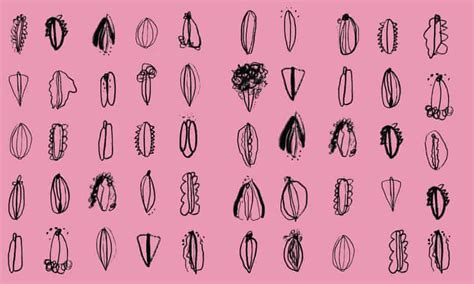 Viva La Vulva Why We Need To Talk About Women’s Genitalia Sex The Guardian