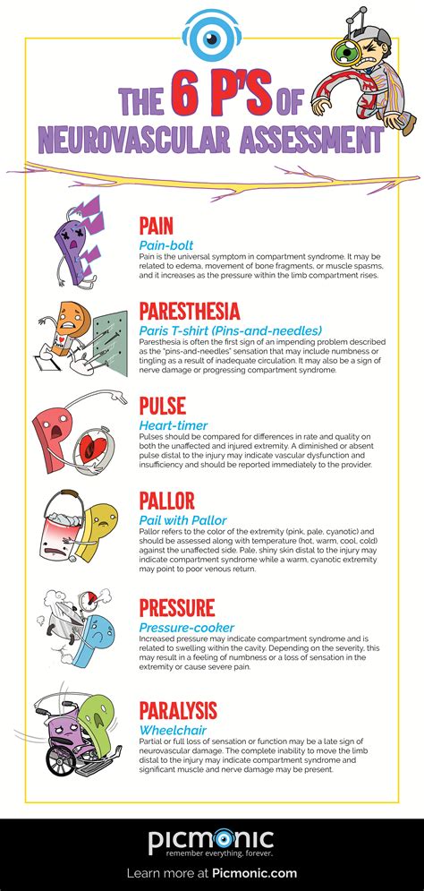 Infographic How To Study Neurovascular Assessment 6 Ps Nurse