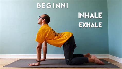 Kate has 17 years' experience as a fitness instructor specialist. 3. Yoga Bee | BEGINNING | Spelling Bee of Canada - YouTube