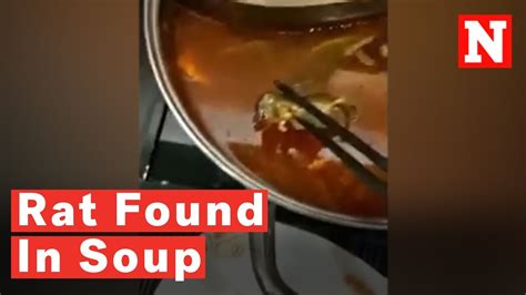 Pregnant Woman Finds Dead Rat In Her Soup Youtube