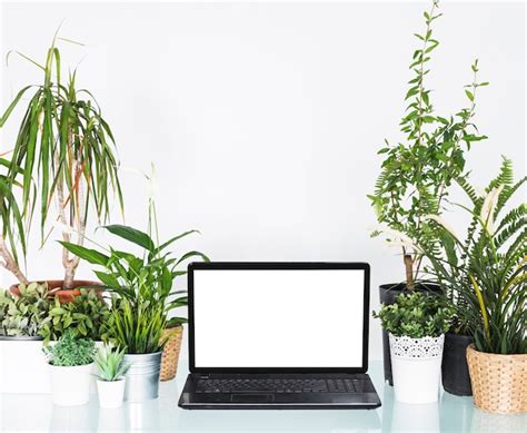 Free Photo Laptop With Blank White Screen Between Potted Plants On Desk
