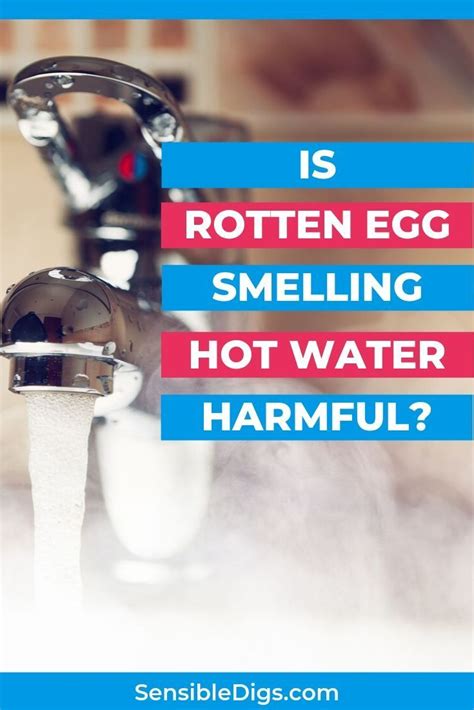 Thus, dirty water is more likely to smell like rotten eggs compared to clean water. Hot Water Smells like Rotten Eggs? What to Do | Hot water ...