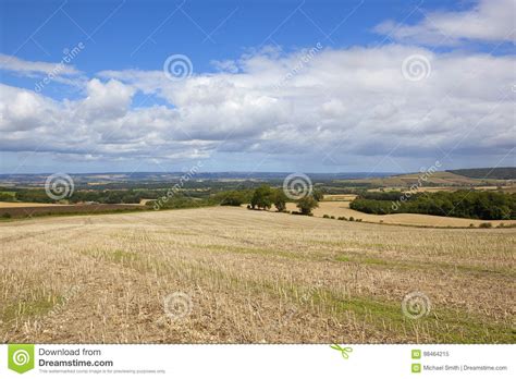 Agricultural Countryside Vista Stock Image Image Of Landscape Hills