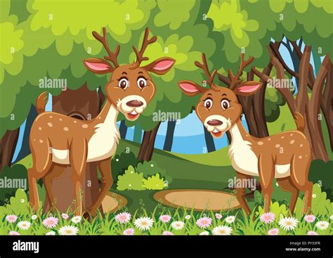 Two Deers In Woods Scene Illustration Stock Vector Image And Art Alamy