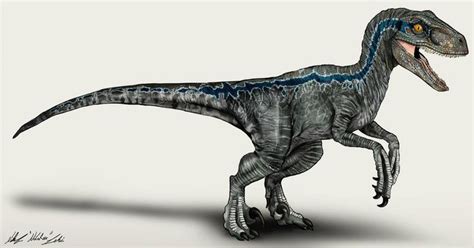 Jurassic World Velociraptor Blue By NikoRex Jurassic World Blue