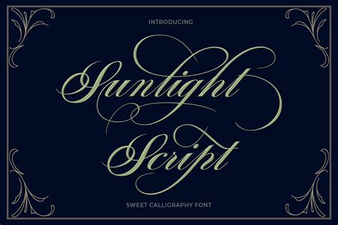 Sunlight Script Font By Typehill · Creative Fabrica Free Script Fonts
