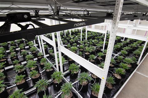 Cannabis Grow System Spacesaver Storage Solutions