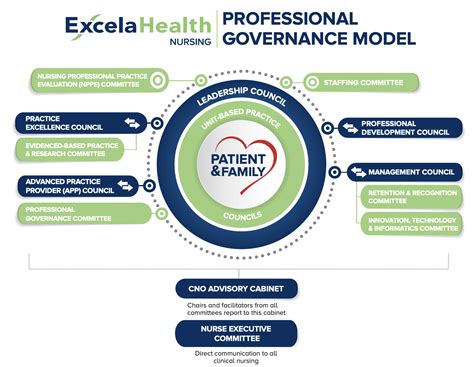 Professional Nursing Practice Excela Health