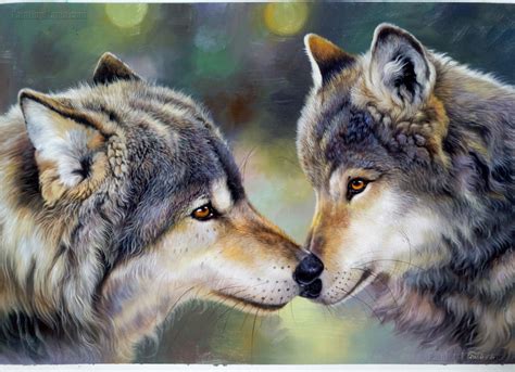 Sweet Gray Wolf Couple Portrait Other Animals Birds And Fish