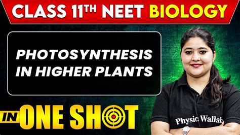 Photosynthesis In Higher Plants In One Shot Class Th Neet Biology
