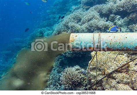 Underwater Sewer Pipe In Coral Reef Canstock