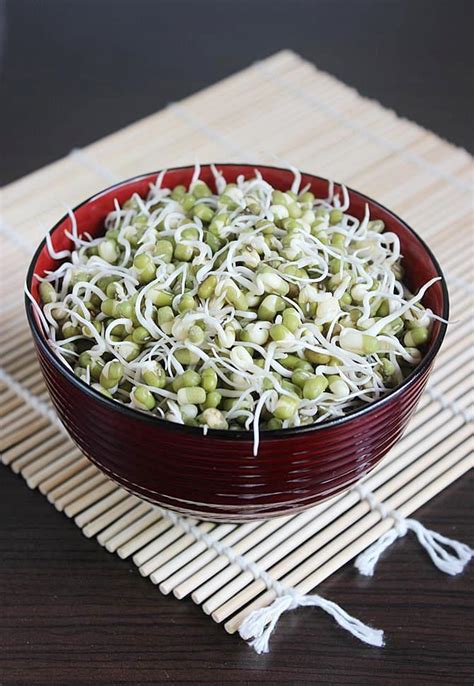 Bean sprouts amazing health benefits include improving metabolism, increasing bone density, maintaining cholesterol levels, preventing congenital diseases, helps increase circulation, promote digestion, support weight loss, helps relieve stress and anxiety, support immune system. How to make sprouts | mung bean sprouts | green gram sprouts