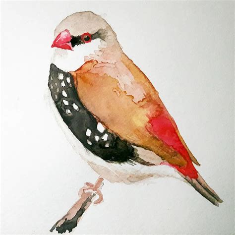 Watercolor Birds Art In Flight Skillshare Blog