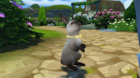 The Sims 4 Cottage Living All About Rabbits