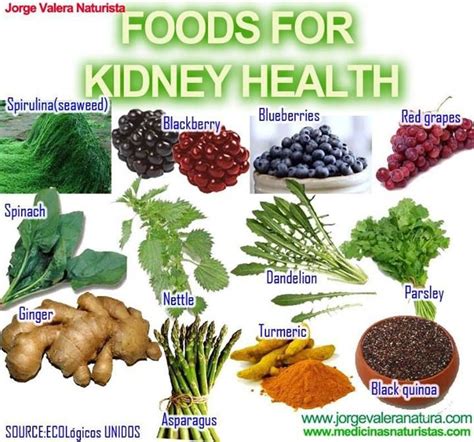 Fruits For Healthy Liver And Kidney Encycloall