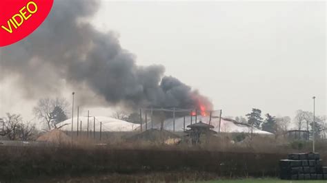 Chester Zoo Fire Visitors Evacuated After Huge Blaze Breaks Out
