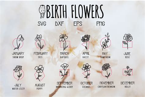 Birth Flower Hand Drawn Svg Graphic By Dadan Pm Creative Fabrica