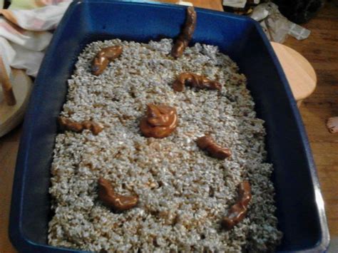 This kitty litter cake recipe has been around for quite a few years. Pin on My Crafting Adventures