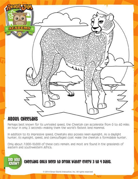 No response for monkey animal jam coloring pages free printable 6mky. Cheetah - Animal Jam Academy