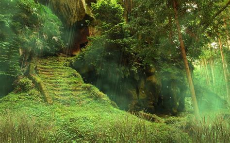 The Mysterious Forest Screensaver Animated Wallpaper Download