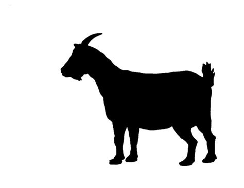 Goat Silhouette Vector At Getdrawings Free Download